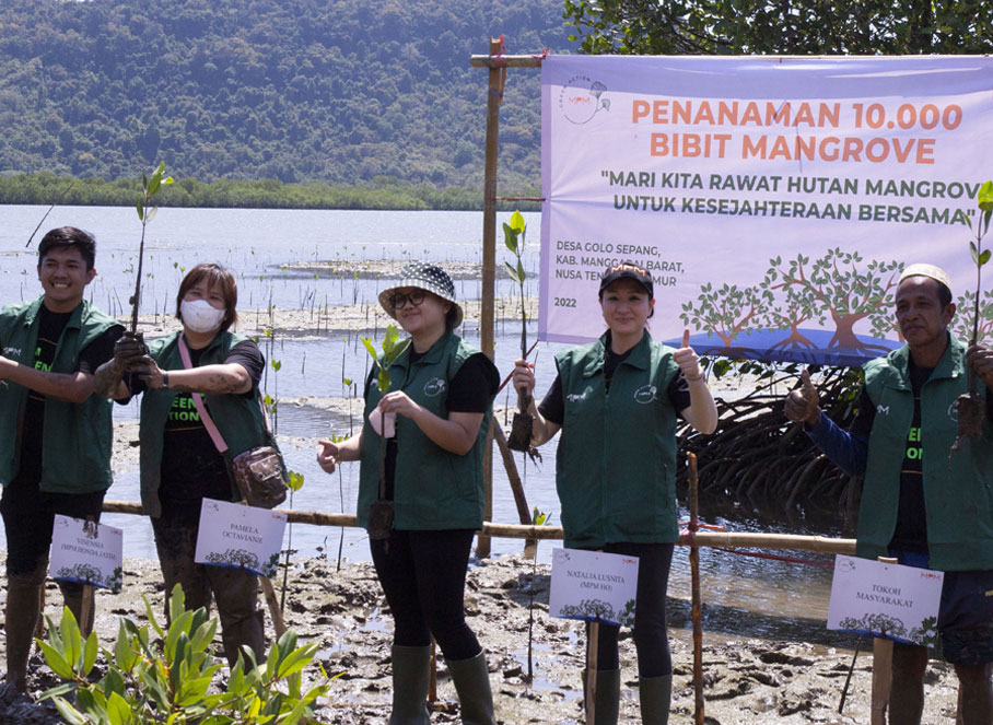 MPMX Tanam 10.000 Bibit Mangrove Dan Gandeng Penggiat Mangrove Di Golo Sepang NTT