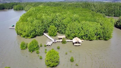 MPMX Lanjutkan Rehabilitasi Mangrove Di Golo Sepang, NTT dengan Penambahan 2 Hektar Lahan dan Penanaman 20.000 Bibit Mangrove